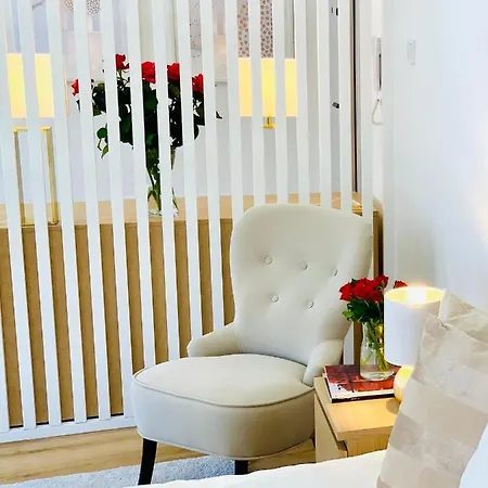 Appartement W Centrum Miasta Z Darmowym Parkingiem Dla Dwojga -apartamenty Pod Zlotym Lwem *