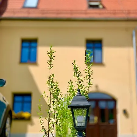 Appartement W Centrum Miasta Z Darmowym Parkingiem Dla Dwojga -apartamenty Pod Zlotym Lwem