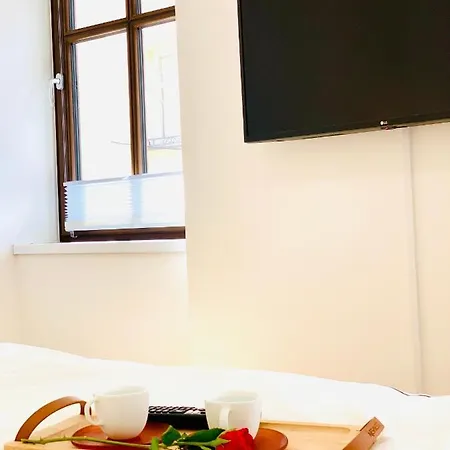 W Centrum Miasta Z Darmowym Parkingiem Dla Dwojga -apartamenty Pod Zlotym Lwem Apartment