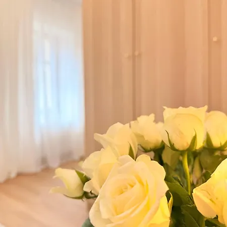 Appartement W Centrum Miasta Z Darmowym Parkingiem Dla Dwojga -apartamenty Pod Zlotym Lwem Kłodzko