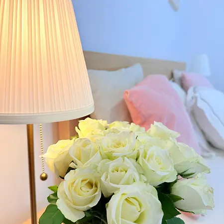 W Centrum Miasta Z Darmowym Parkingiem Dla Dwojga -apartamenty Pod Zlotym Lwem *