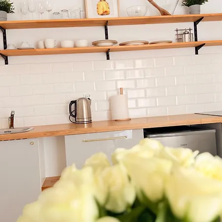 W Centrum Miasta Z Darmowym Parkingiem Dla Dwojga -apartamenty Pod Zlotym Lwem Appartement