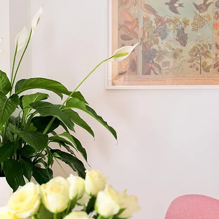 W Centrum Miasta Z Darmowym Parkingiem Dla Dwojga -apartamenty Pod Zlotym Lwem Appartement Kłodzko