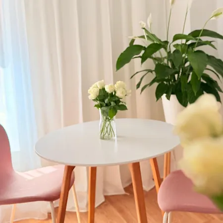 W Centrum Miasta Z Darmowym Parkingiem Dla Dwojga -apartamenty Pod Zlotym Lwem Kłodzko