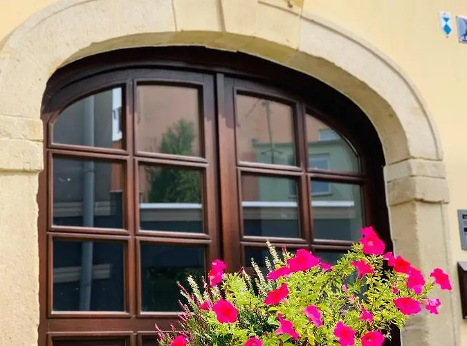 W Centrum Miasta Z Darmowym Parkingiem Dla Dwojga -apartamenty Pod Zlotym Lwem Appartement Kłodzko