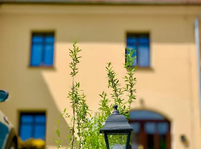 Appartement W Centrum Miasta Z Darmowym Parkingiem Dla Dwojga -apartamenty Pod Zlotym Lwem