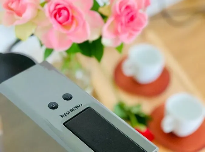 W Centrum Miasta Z Darmowym Parkingiem Dla Dwojga -apartamenty Pod Zlotym Lwem Appartement *