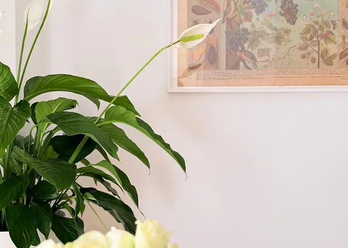 W Centrum Miasta Z Darmowym Parkingiem Dla Dwojga -apartamenty Pod Zlotym Lwem Appartement Kłodzko