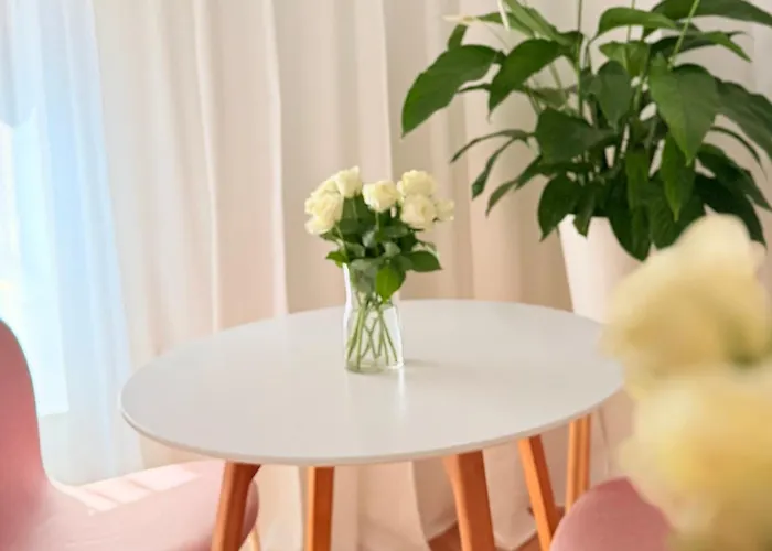 W Centrum Miasta Z Darmowym Parkingiem Dla Dwojga -apartamenty Pod Zlotym Lwem Kłodzko